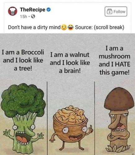 202018952_4538643029501614_1003963783700712513_n