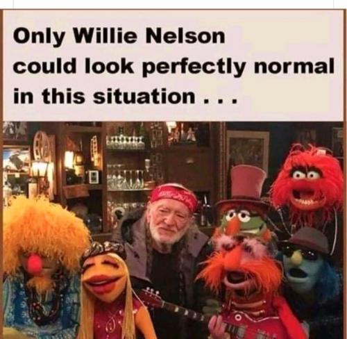 194272452_1615539865304634_2044297807402648407_n