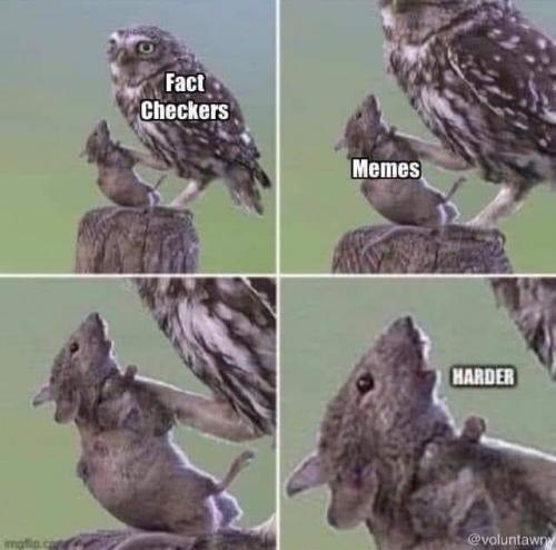 198791911_180818017384827_1668063490578069685_n