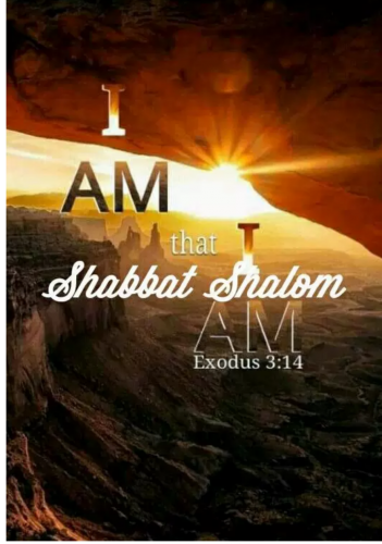 Screenshots_2021-06-17-17-40-29