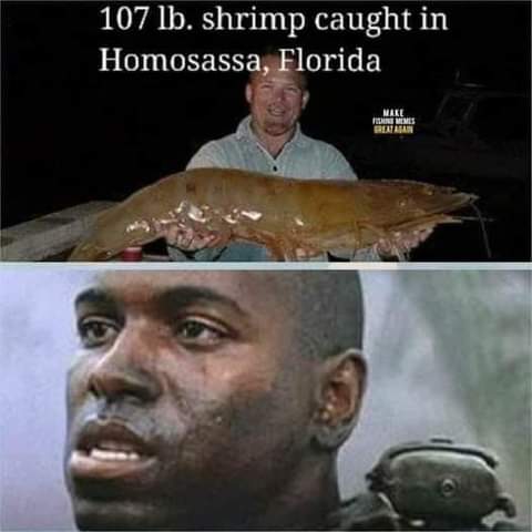 FB_IMG_1624326321378