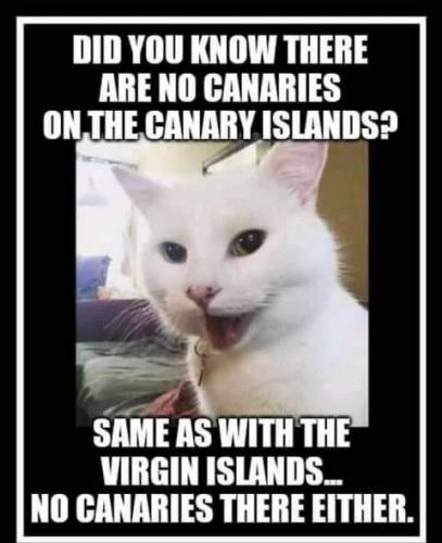 FB_IMG_1624421801985