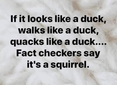 FB_IMG_1623545937516