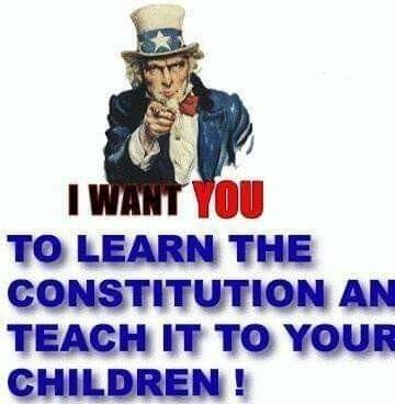 learntheconstitution