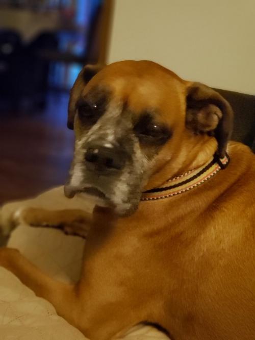 16:39:49 GMT+0100 (WAT)