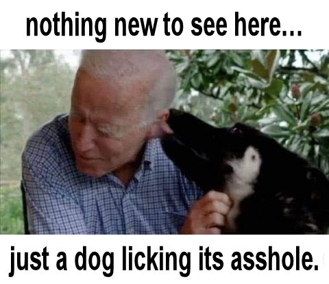 biden589
