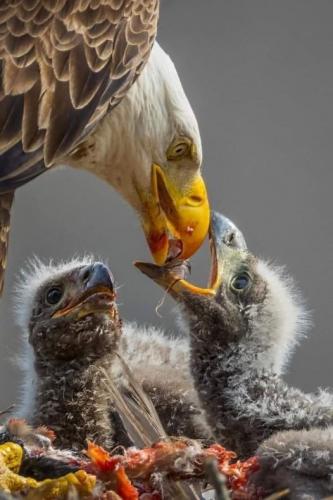 197261206_2951426971813264_5633884646032369806_n