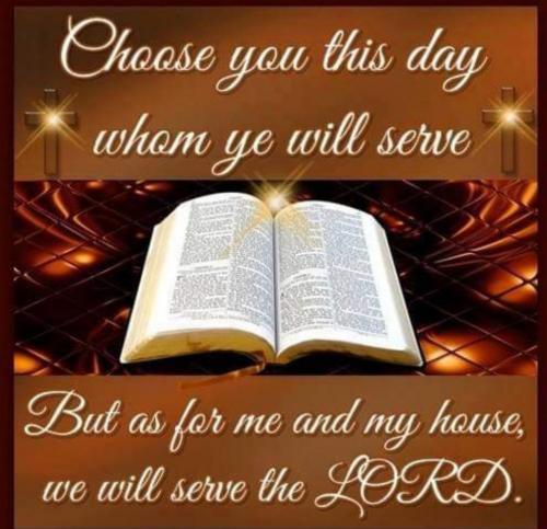 Screenshot_20210614-082416_Gallery