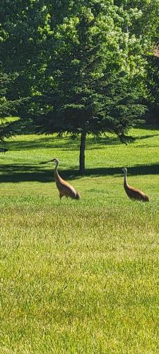 13:46:35 GMT-0500 (CDT)