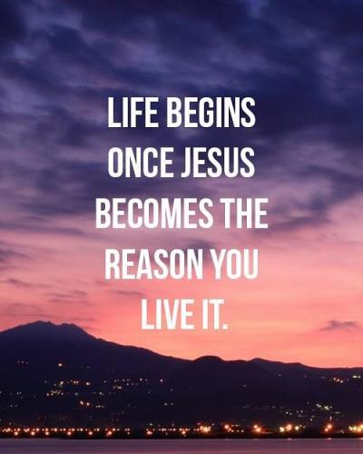 Life begins