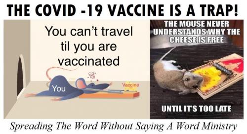 c96229ca90da1ba059adef1fd870d439