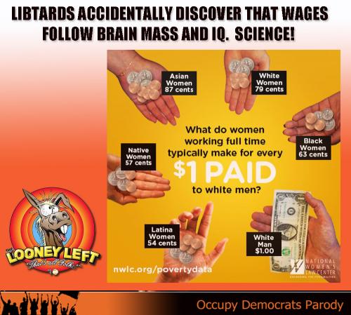 equal paygap gender euql pay feminist ODPMEME wages follow brain mass and IQ