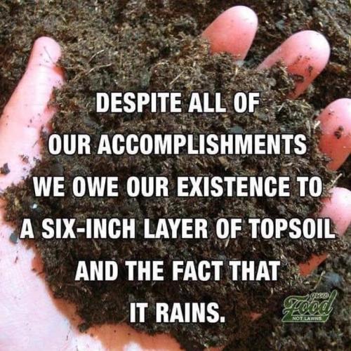 Meme Despite all of our accomplishments, we owe our existence to 6 imches of top soil and the fact that it rains.   165971758_3755963367773725_4394599047965477104_n