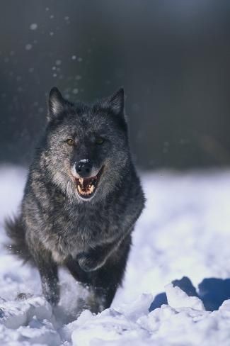 10:33:01 GMT-0500 (CDT)