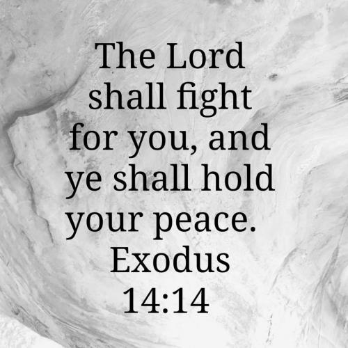 06:36:52 GMT-0400 (EDT)