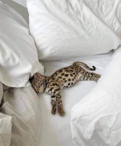 13:57:48 GMT-0500 (CDT)