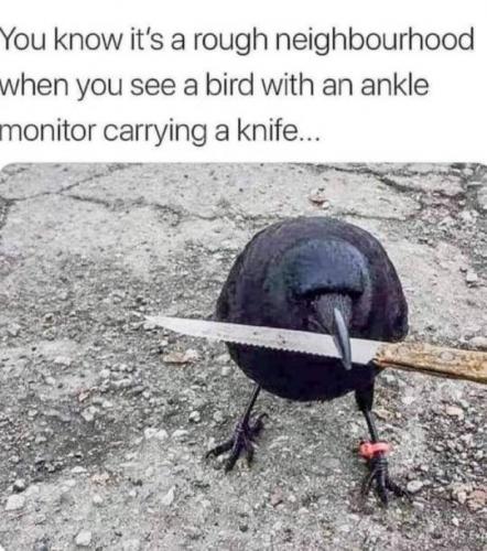 tumblr_72874130a463f9cc1848d44b1b702911_f001ac98_540