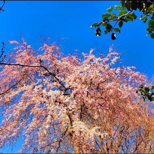 04:38:42 GMT+0100 (WAT)