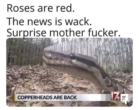 18:00:14 GMT-0700 (PDT)