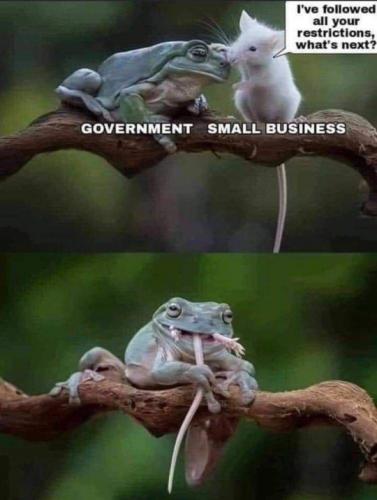 tumblr_4e8ffcafe552d256604604ffa83369b9_8b4dd3f1_540