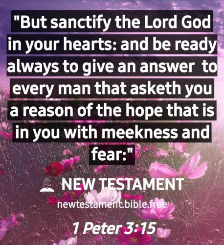 Screenshot_20210621-233156_New Testament Bible free