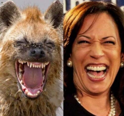 Screenshot_20210605-125843_Samsung Internet