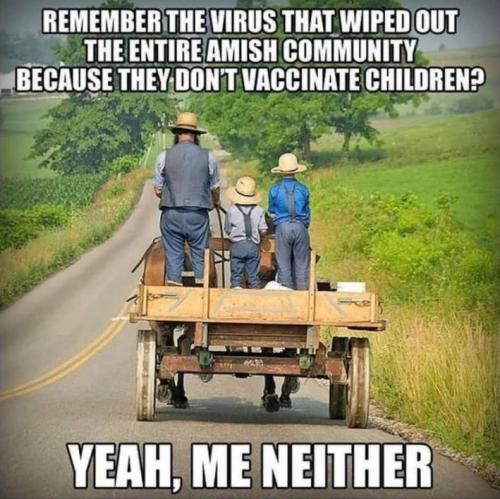 scamdemic15