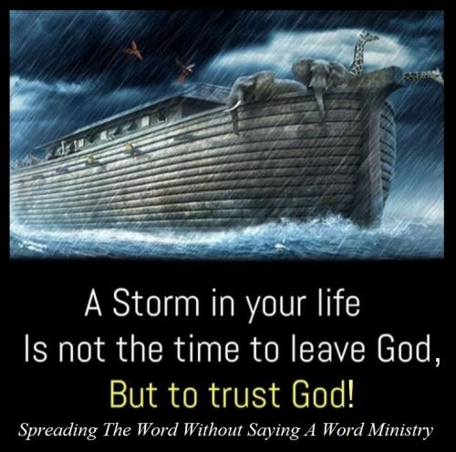 192203393_492409962101240_6649738283117254526_n