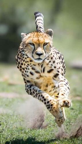 d0e523cc342457f1d82e6da9e05b2235