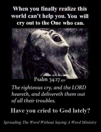 191928622_10223752472454963_244514398986035023_n