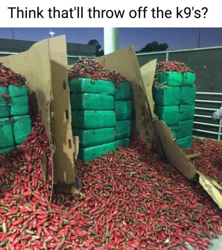 10:00:15 GMT-0500 (CDT)