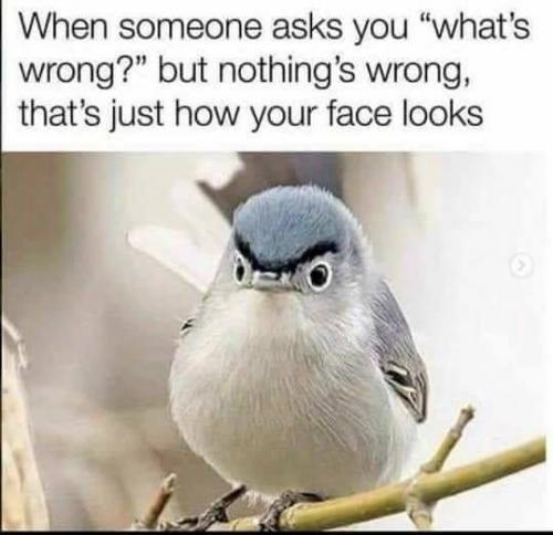 Flag in fog and other photos