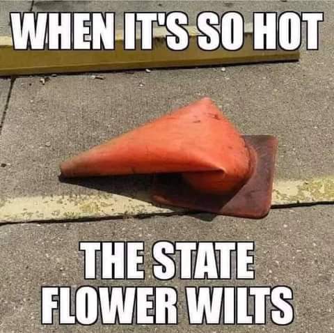 FB_IMG_1624988571710