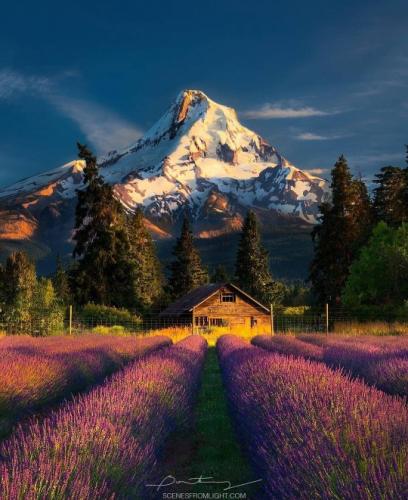 tumblr_462bce75f986ac93cadb4f3f4b84b933_898aeb0e_540