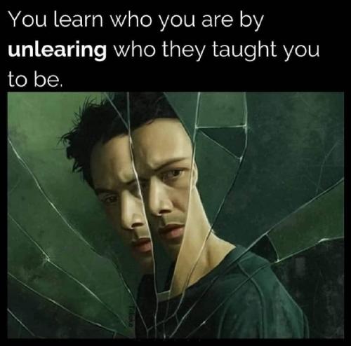 You learn