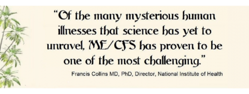 OEZgBkO9ncJIY_slJoyVJbCQ-6MTNCow-1170x270