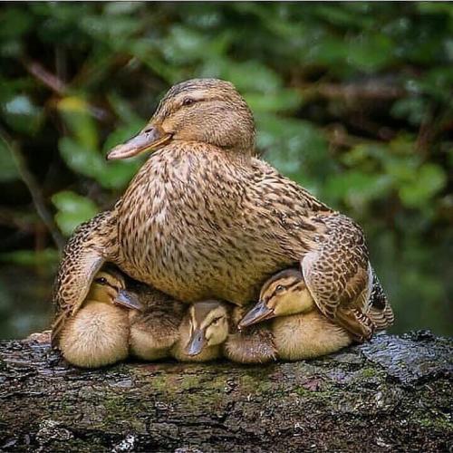 194544411_341719763998370_7432684686690712351_n