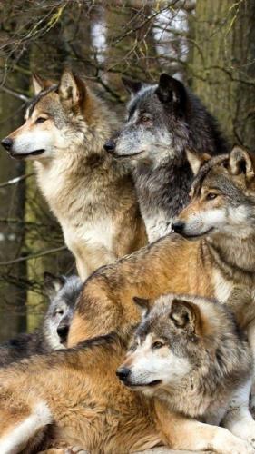 a0747e1735645cb431c6818cd4e35289