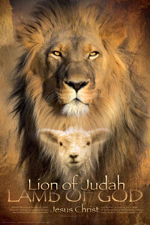 lion of judah