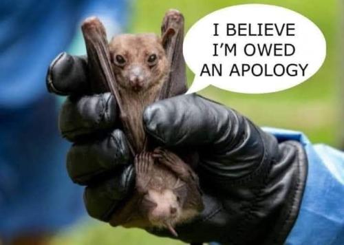 206205045_10214830034863633_624945616310197625_n