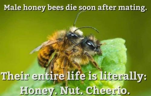 11:12:17 GMT-0500 (CDT)