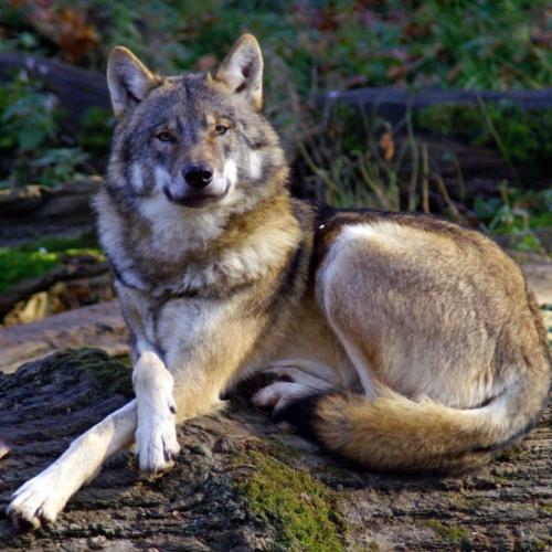 193220401_330185815342118_6164851685940696682_n