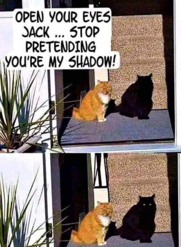 IMG_20210609_204803_227