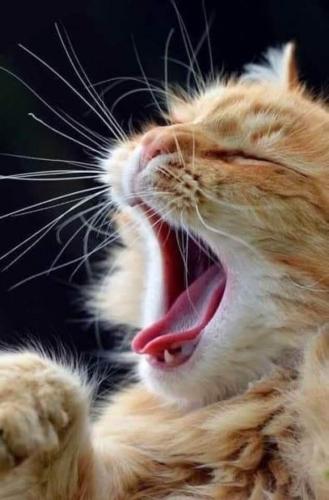 07:53:44 GMT-0500 (CDT)