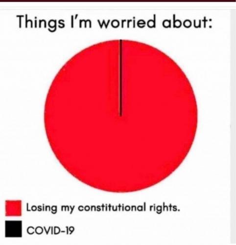 Constitutionalrights