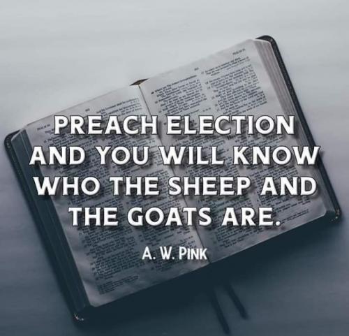 FB_IMG_1623176466485