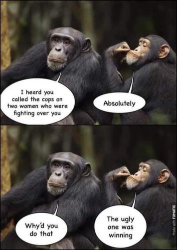 FB_IMG_1624043297663