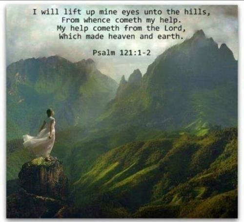 Screenshot_20210627-064812_Gallery