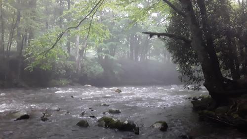 11:21:17 GMT-0400 (EDT)