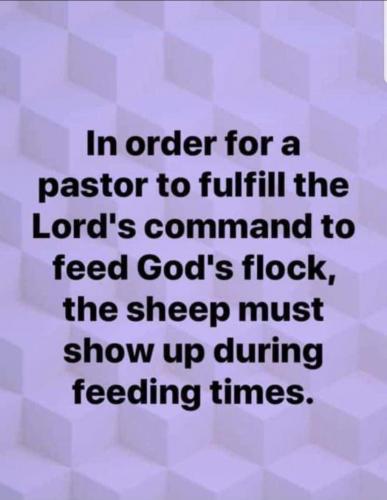 Screenshot_20210615-063835_Gallery